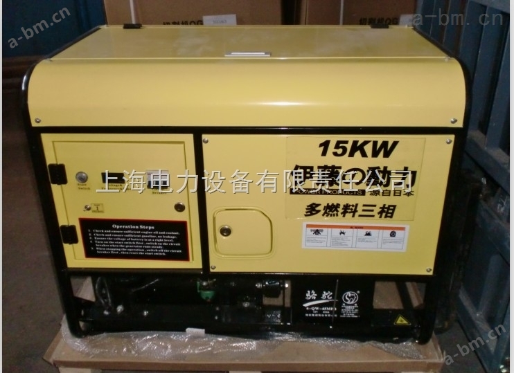 15KW汽油发电机YT15GFJ价格（开架式）
