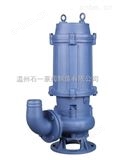 4寸口径15KW 18.5KW排污水提升泵沉池污泥泵排污自动搅匀排污泵